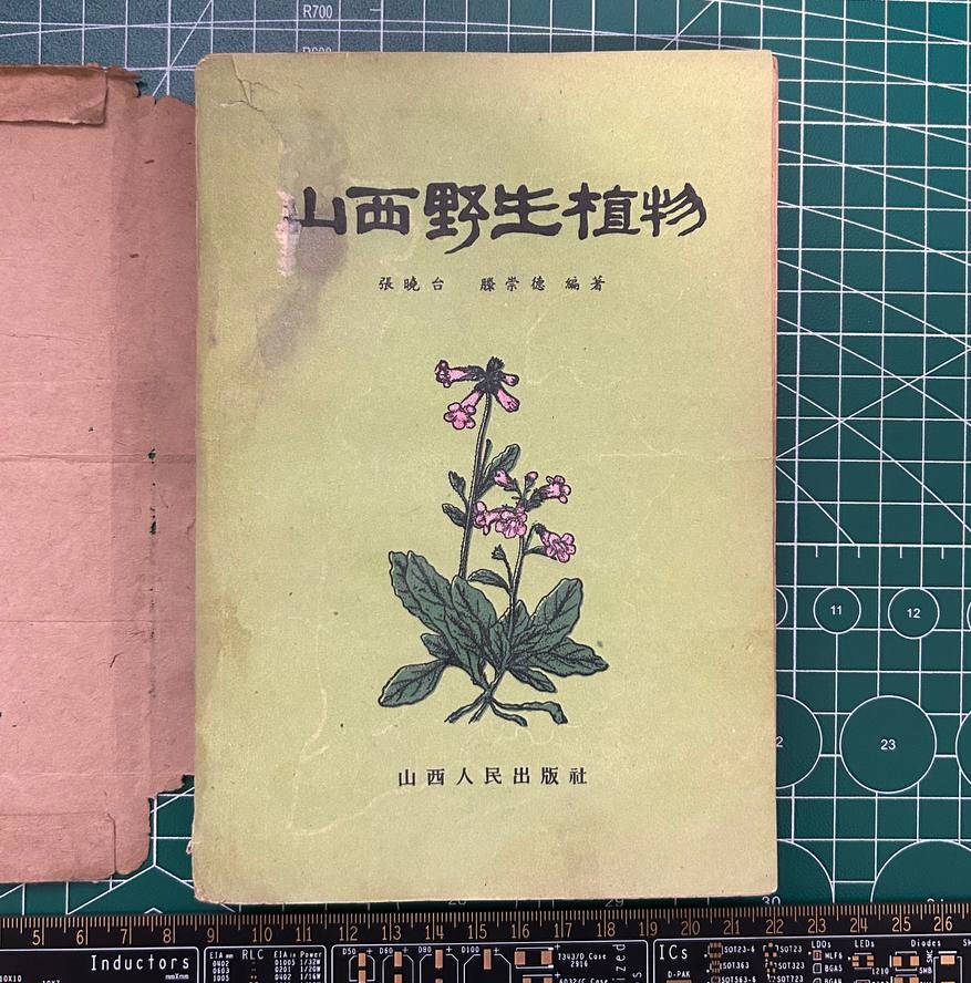 【收藏】No.010_山西野生植物