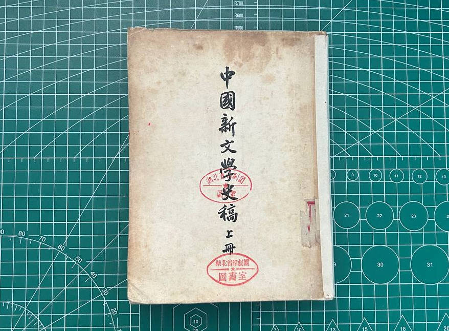 【收藏】No.053-1_中国新文学史稿（上册）