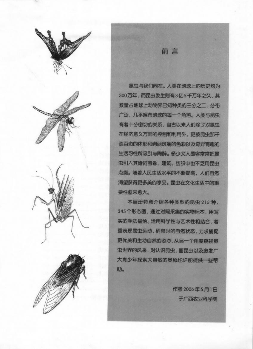 【书籍】绘画资料图典—昆虫图谱