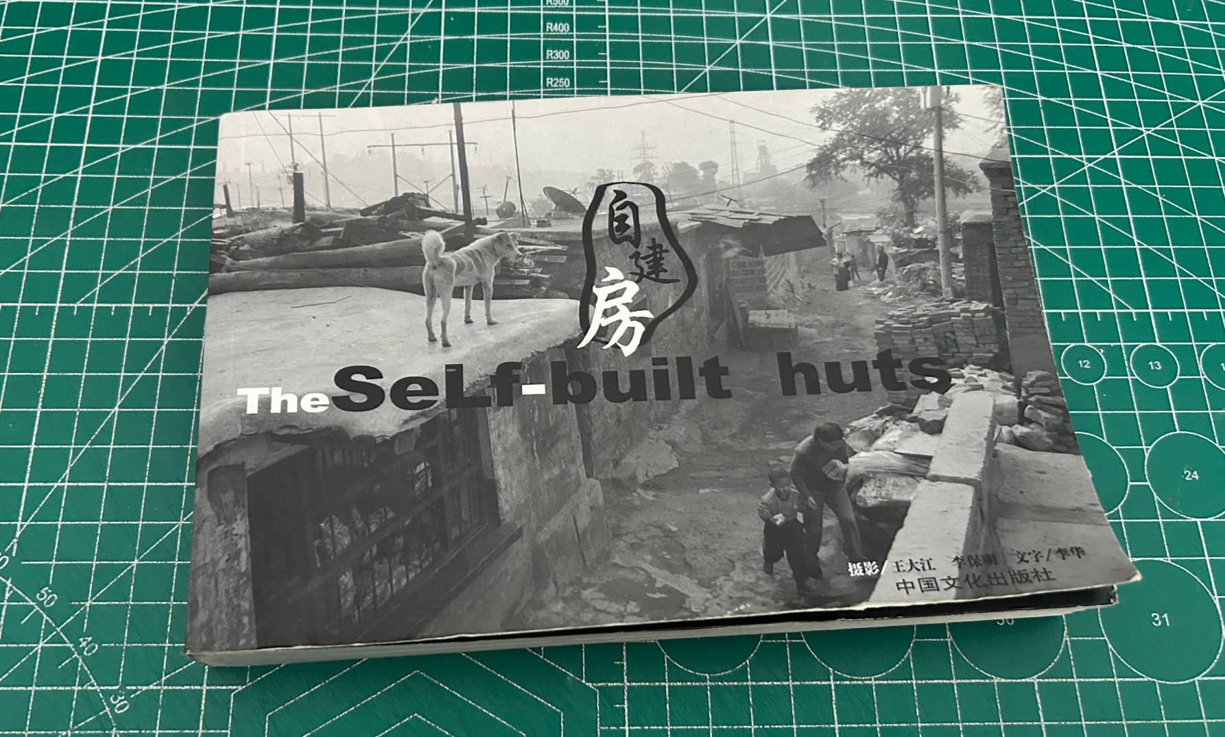 《自建房 The Self-built huts》读书笔记