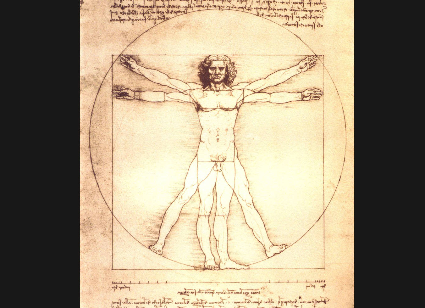 【原画】达芬奇绘画作品